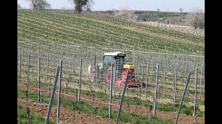 Einsäen von Blühmischung im Weinbau  Fendt 210v S3  Weinbau Schwab [upl. by Nahtam]