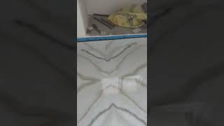 Floor Tiles room full complete ytshorts viralvideo tiles trendingshorts [upl. by Elora]