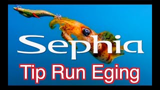 ● TIP RUN EGING Techniques in Rompin● [upl. by Layap612]