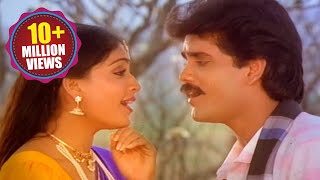 Janaki Ramudu Songs  Na Gonthu Shrutilona  Nagarjuna Vijayashanti [upl. by Iznyl]