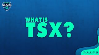 What is TSX and its usecase TradeStars [upl. by Sucramal]