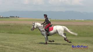 134XC Abigail Williams on First Class Open Preliminary Cross Country Rebecca Farm July 2024 [upl. by Rebmetpes216]