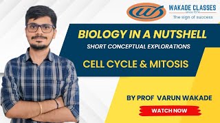 Cell Cycle amp Stages of Mitosis [upl. by Akzseinga437]