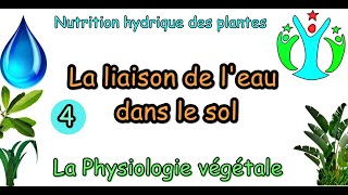 la liaison de leau dans le solpotentiel hydriquephysiologie végétale s4 [upl. by Aliber]