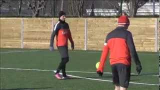 Zlatan Ibrahimovic Amazing Goal at Training [upl. by Assirhc654]