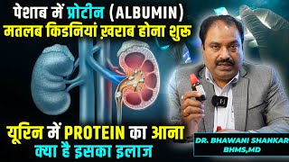 Treatment Of Protein Albumin In Urine  The Best Homeopathic medicine for albumin in urine  हिंदी [upl. by Nesral735]