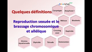 Quelques définitions Reproduction sexuée et le brassage chromosomique et allélique [upl. by Huntingdon]