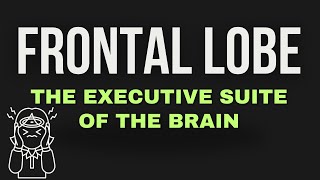 Frontal Lobe The Executive Suite of the Brain [upl. by Nahraf]