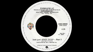 Funkadelic  Not Just Knee Deep 1979 Funky Purrfection Version [upl. by Mario]