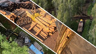 Timber unloading  Harvester amp Forwarder work [upl. by Dupin]