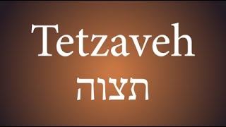 MSW\ Parashat Tetzaveh\ Purim Katan\ 22324 [upl. by Camarata]