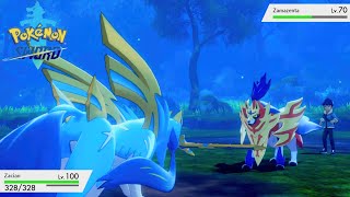 Pokémon Sword amp Shield Final Battle with Hop Zacian Shiny Vs Zamazenta quotEnd Post Gamequot [upl. by Gar]