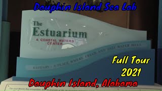 The Estuarium at Dauphin Island Sea Lab Full Tour  Dauphin Island Alabama [upl. by Ettegdirb]