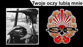 STRACHY NA LACHY  Twoje oczy lubią mnie OFFICIAL AUDIO [upl. by Enitsrik144]