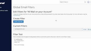 How to Quickly Blacklist a Spammers Email Address Through Your TVCNet cPanel Account [upl. by Atirys244]