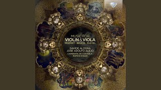 Passacaglia for Violin and Viola [upl. by Esydnac]