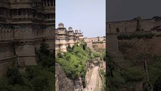 Gwalior fort gwalior shorts shortvideo reelsshorts history [upl. by Nwad810]