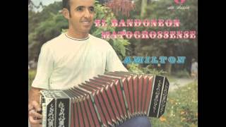 Amilton  El Bandoneon Matogrossense [upl. by Calan]