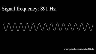 20Hz to 20kHz Human Audio Spectrum [upl. by Gschu]