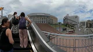 Walking through Mizuho Pay Pay Dome [upl. by Ehudd]