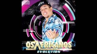 OS AFRICANOS  EVOLUTION  VERÃO 2015 COMPLETO [upl. by Gentille712]