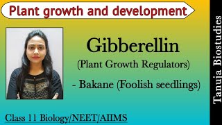 Plant Growth Regulators  Gibberellins Bakane Foolish seedlings Disease  11th BiologyNEETAIIMS [upl. by Shanta368]