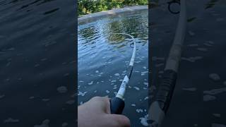 Throwing crankbaits in urban creeks [upl. by Arline]