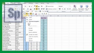 Excel  Ocultar y mostrar columnas en Excel Ocultar y mostrar filas Tutorial en español HD [upl. by Yalonda]