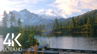 8 Hours of Birds Singing on the Lakeshore and Water Sounds  Relaxing Nature Sounds  Mount Shuksan [upl. by Airegin140]