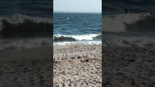 Waves blue sky and people swimming in the Atlantic Ocean [upl. by Einna910]