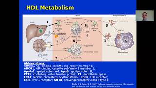 Lesson 36 HDL Metabolism [upl. by Akeim]