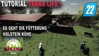 LS22  TerraLife  Tutorial  Fütterung der Holstein Kühe und Bullen [upl. by Ahseek516]