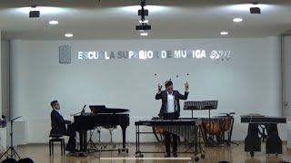 Ney Rosauro  Vibraphone Concerto [upl. by Llerad]