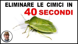 ELIMINARE LA CIMICE IN 40 SECONDI [upl. by Selimah969]