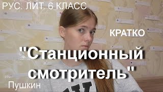 КРАТКО  СТАНЦИОННЫЙ СМОТРИТЕЛЬ  Пушкин  рус лит 6 класс [upl. by Asiil99]