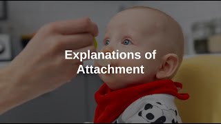 Explanations of Attachment [upl. by Eerpud512]