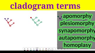 cladogram terms explained in hindi apomorphyplesiomorphyautapomorphyhomoplasy in hindi [upl. by Milena]