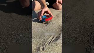 Extracting Iron from Sand shortsvideo [upl. by Hamlani593]