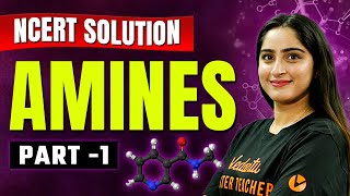 Amines Part 1  Class 11 Chemistry  NCERT Solutions [upl. by Alameda846]