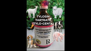 GENTAMICIN SULFATE  TYLOSIN TARTRATE TYLOGENTA [upl. by Anelrahc]