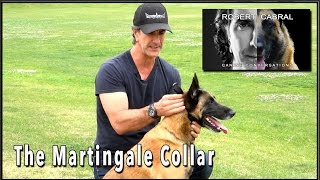 The Martingale Collar  Dog Training Equiptment [upl. by Ndnarb]