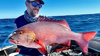 Fishing The Ningaloo Reef  Exmouth in a roof topper [upl. by Thirzia672]