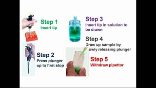 Steps Work of Micropipette [upl. by Enymzaj]