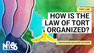 How is the Law of Tort Organized No 86 [upl. by Aenel994]