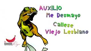 Auxilio Me Desmayo Callese Viejo Lesbiano  Video Lyric Oficial [upl. by Naujtna]