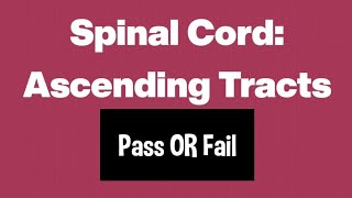 Ascending tracts of Spinal cordEasy mnemonicMemorise within seconds👍🏻 [upl. by Kendrah]