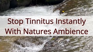 Stop Tinnitus Instantly with Natures Ambience  Tinnitus Masking Sound Therapy  10 Hours [upl. by Krenek542]