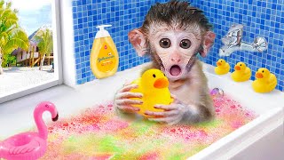 Monkey Baby Bon Bon colorful bath with ducklings  Maymun animals Video [upl. by Lleira]