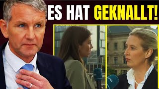 Nervenzusammenbruch bei Journalistin nach AfDWahlsieg im Osten [upl. by Dnalrag590]