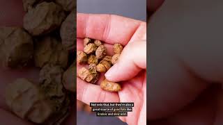 Nutritional Benefits Of Tiger Nuts [upl. by Cerelia]